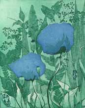 Blue Poppy